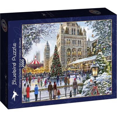 Bluebird Richard Macneil - Skating Outside Natural History Museum - Puzzle Bluebird Richard Macneil - Skating Outside Natural History Museum - Puzzle