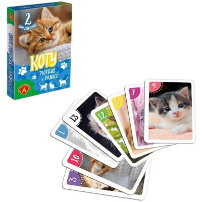 Alexander Peter und Memory Cats ALEX (2 - 4 Spieler) Alexander Peter und Memory Cats ALEX (2 - 4 Spieler)
