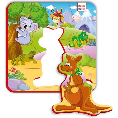 Roter Käfer Magnet Baby Australiens Tiere Roter Käfer Magnet Baby Australiens Tiere