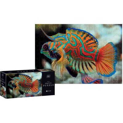 Interdruk Puzzle Bunte Natur: Mandarinen 250 dlks (250 Teile) Interdruk Puzzle Bunte Natur: Mandarinen 250 dlks (250 Teile)