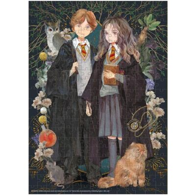 Dodo Puzzle - - mittel - Harry Potter - Hermine - Ron (300 Teile) Dodo Puzzle - - mittel - Harry Potter - Hermine - Ron (300 Teile)