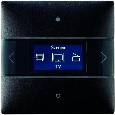 Theben THEB Raumcontroller, Thermostat, Schwarz Theben THEB Raumcontroller, Thermostat, Schwarz