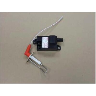 Remeha Zündtrafo mit Zünd-Ion Elektrode, Zubehör Heizen Remeha Zündtrafo mit Zünd-Ion Elektrode, Zubehör Heizen