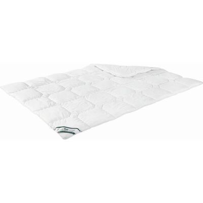 f.a.n. FAN , Textil , 140x200 cm , für Hausstauballergiker geeignet, weich und anschmiegsam, waschbar bis 95°C , Heimtextilien, Schlaftextilien, Bettdecken, Winterdecken f.a.n. FAN , Textil , 140x200 cm , für Hausstauballergiker geeignet, weich und anschmiegsam, waschbar bis 95°C , Heimtextilien, Schlaftextilien, Bettdecken, Winterdecken
