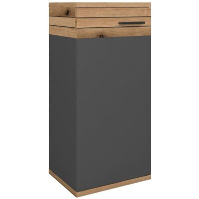 James Wood , Anthrazit, Eichefarben , Holzwerkstoff , 1 Fächer , 40x86x30 cm , James Wood , Anthrazit, Eichefarben , Holzwerkstoff , 1 Fächer , 40x86x30 cm ,