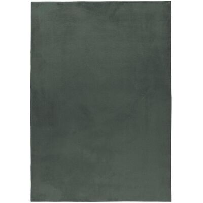Ayyildiz , Grün , Textil , Uni , rechteckig , 120x170 cm , Oeko-Tex® Standard 100 , pflegeleicht , Teppiche & Böden, Teppiche, Hochflorteppiche, Hochflorteppiche eckig, Hochflorteppiche rechteckig Ayyildiz , Grün , Textil , Uni , rechteckig , 120x170 cm , Oeko-Tex® Standard 100 , pflegeleicht , Teppiche & Böden, Teppiche, Hochflorteppiche, Hochflorteppiche eckig, Hochflorteppiche rechteckig