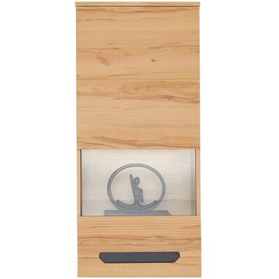 MÖBELIX , Holzwerkstoff , 1 Fächer , 46.9x103.8x33 cm , Kleinmöbel, Vitrinen, Hängevitrinen MÖBELIX , Holzwerkstoff , 1 Fächer , 46.9x103.8x33 cm , Kleinmöbel, Vitrinen, Hängevitrinen