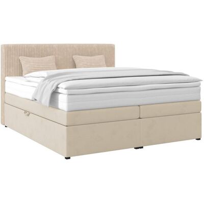 Möbelix , Creme , Textil , H2 , 7-Zonen , 180x200 cm , Bettkasten, Stoffauswahl, Topper durchgehend, in verschiedenen Größen erhältlich, Matratze durchgehend , Schlafzimmer, Betten, Boxspringbetten Möbelix , Creme , Textil , H2 , 7-Zonen , 180x200 cm , Bettkasten, Stoffauswahl, Topper durchgehend, in verschiedenen Größen erhältlich, Matratze durchgehend , Schlafzimmer, Betten, Boxspringbetten