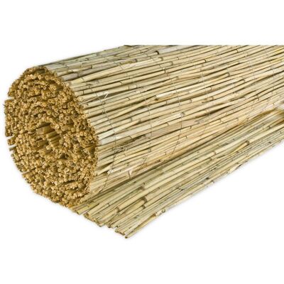 Möbelix , Naturfarben , Naturmaterialien , 600x160 cm , Freizeit im Garten, Gartenaccessoires, Sichtschutz Balkon & Garten, Schilf- & Bambus Sichtschutz Möbelix , Naturfarben , Naturmaterialien , 600x160 cm , Freizeit im Garten, Gartenaccessoires, Sichtschutz Balkon & Garten, Schilf- & Bambus Sichtschutz