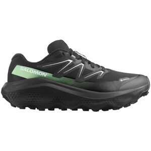 Salomon Herren Ultra Flow 2 GTX schwarz 46.6 Salomon Herren Ultra Flow 2 GTX schwarz 46.6