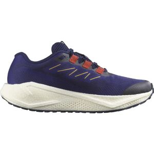 Salomon Herren Aero Blaze 3 Gravel blau 43.3 Salomon Herren Aero Blaze 3 Gravel blau 43.3