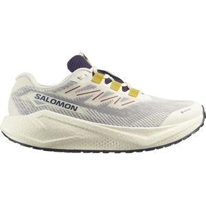 Salomon Herren Aero Blaze 3 Gravel GTX beige 45.3 Salomon Herren Aero Blaze 3 Gravel GTX beige 45.3