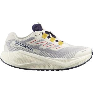 Salomon Damen Aero Blaze 3 Gravel GTX beige 41.3 Salomon Damen Aero Blaze 3 Gravel GTX beige 41.3