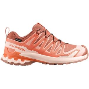 Salomon Damen Xa Pro 3D V9 GTX braun 40.6 Salomon Damen Xa Pro 3D V9 GTX braun 40.6