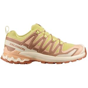 Salomon Damen Xa Pro 3D V9 grün 42.0 Salomon Damen Xa Pro 3D V9 grün 42.0