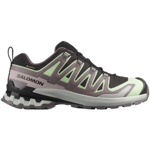 Salomon Damen Xa Pro 3D V9 GTX schwarz 42.0 Salomon Damen Xa Pro 3D V9 GTX schwarz 42.0