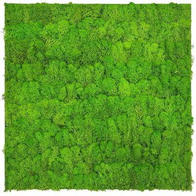 P & B Akustikpaneel, Hellgrün, Naturmaterialien, 52x52x4 cm, Handmade Quality, Tapeten & Wandverkleidungen, Akustikpaneele P & B Akustikpaneel, Hellgrün, Naturmaterialien, 52x52x4 cm, Handmade Quality, Tapeten & Wandverkleidungen, Akustikpaneele