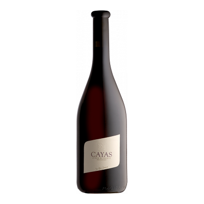 Domaine Jean-René Germanier - Cayas Syrah Reserva 2016 - Rot - Wallis - Wein Domaine Jean-René Germanier - Cayas Syrah Reserva 2016 - Rot - Wallis - Wein