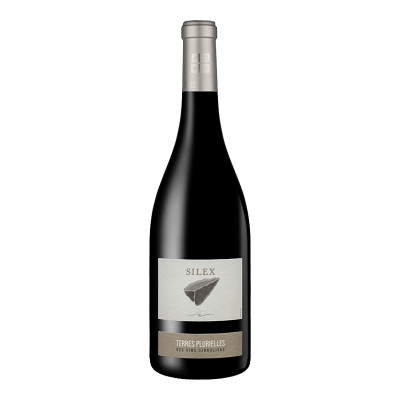 Terres Plurielles - Silex 2023 - Côtes du Roussillon Villages - Rotwein - 0.75L Languedoc Roussillon Terres Plurielles - Silex 2023 - Côtes du Roussillon Villages - Rotwein - 0.75L Languedoc Roussillon