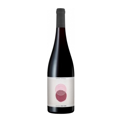 Vins Schaal (Sophie & Julien) - Pinot Noir - Sophie Schaal 2025 - Alsace Pinot Noir - Rotwein - 0.75L Elsass Vins Schaal (Sophie & Julien) - Pinot Noir - Sophie Schaal 2025 - Alsace Pinot Noir - Rotwein - 0.75L Elsass