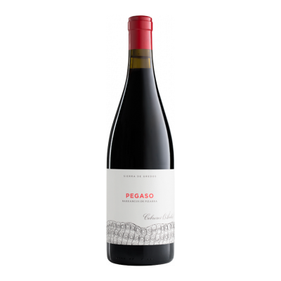 Telmo Rodríguez Pegaso Barrancos de Pizarra Grenache - Rotwein - 75cl Telmo Rodríguez Pegaso Barrancos de Pizarra Grenache - Rotwein - 75cl