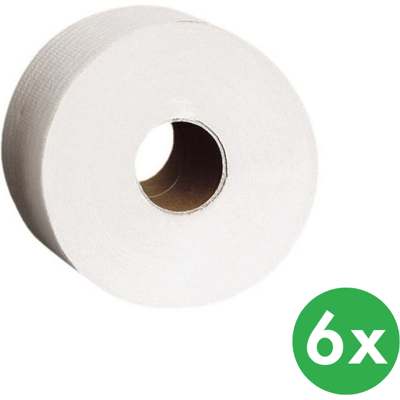 Merida Toilettenpapier, doppellagig, superweiß, Rolle 245 m, 6 Stk Merida Toilettenpapier, doppellagig, superweiß, Rolle 245 m, 6 Stk