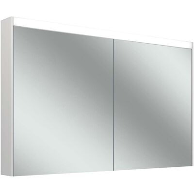Schneider Aluminium Spiegelschrank - 2 Türen 60/60cm, LED, 1195x123x743mm - Spiegelschrank Schneider Aluminium Spiegelschrank - 2 Türen 60/60cm, LED, 1195x123x743mm - Spiegelschrank