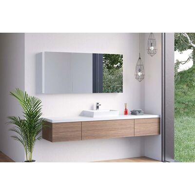 Schneider Weiss Spiegelschrank - 150x70x12cm - Doppelspiegeltüren - Ohne Beleuchtung Schneider Weiss Spiegelschrank - 150x70x12cm - Doppelspiegeltüren - Ohne Beleuchtung