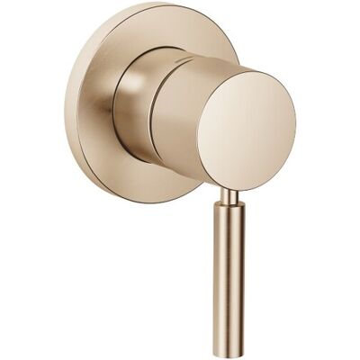 Dornbracht UP-Einhandbatterie mit Abdeckplatte SERIENSPEZIFISCH 36060660 Champagne gebürstet (22kt G 36060660-46 Dornbracht UP-Einhandbatterie mit Abdeckplatte SERIENSPEZIFISCH 36060660 Champagne gebürstet (22kt G 36060660-46