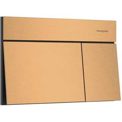 Hansgrohe iFrame Element E Betätigungsplatte für 2-Mengen-Spülung, Brushed Bronze, 66003140 66003140 Hansgrohe iFrame Element E Betätigungsplatte für 2-Mengen-Spülung, Brushed Bronze, 66003140 66003140