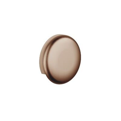Dornbracht Rohrunterbrecher SERIENNEUTRAL 36150970 Bronze gebürstet, 36150970-42 36150970-42 Dornbracht Rohrunterbrecher SERIENNEUTRAL 36150970 Bronze gebürstet, 36150970-42 36150970-42