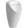 LAUFEN spülrandlos Absaugeurinal Caprino Plus, 350x320x645 ohne Steuerung LCC weiss, H8410614000001 H8410614000001