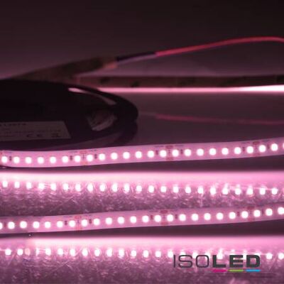 IsoLED Food Flexband Fleisch - Dimmbar, IP54, 130 LED/m IsoLED Food Flexband Fleisch - Dimmbar, IP54, 130 LED/m