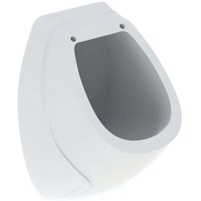 Geberit Urinal Corso - Rückseite, Wandmontage, KeraTect, 310x522x320 mm Geberit Urinal Corso - Rückseite, Wandmontage, KeraTect, 310x522x320 mm