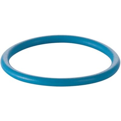 Geberit - 240.665.00.1 O-Ring - Für AquaClean 8000 / 8000plus geeignet Geberit - 240.665.00.1 O-Ring - Für AquaClean 8000 / 8000plus geeignet