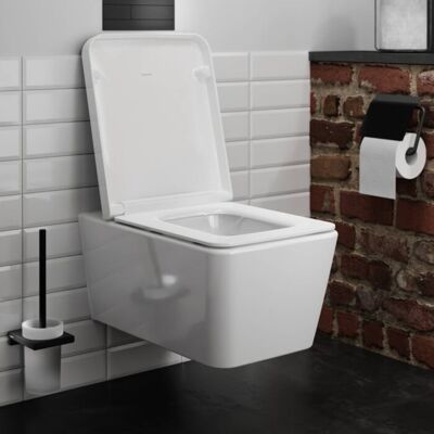 Hansgrohe EluPura Q WC - HygieneEffect, 540x360mm Hansgrohe EluPura Q WC - HygieneEffect, 540x360mm