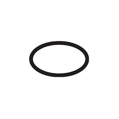 Hansgrohe - O-Ring 16 x 2,5 - Dichtring Hansgrohe - O-Ring 16 x 2,5 - Dichtring