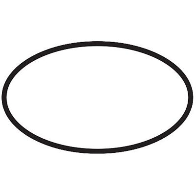 Hansgrohe - DN20 Thermostat O-Ring - Ersatzteil Hansgrohe - DN20 Thermostat O-Ring - Ersatzteil
