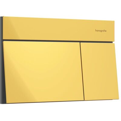 Hansgrohe iFrame Element E Betätigungsplatte 66003990 für 2-Mengen-Spülung, Metall, polished gold optic Hansgrohe iFrame Element E Betätigungsplatte 66003990 für 2-Mengen-Spülung, Metall, polished gold optic