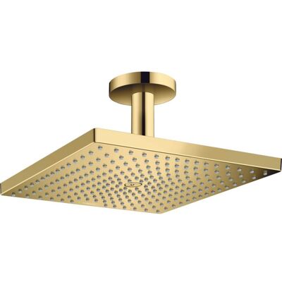 Hansgrohe Raindance E Duschkopf 26251990 mit Deckenanschluss, 1jet, 9 l/min, polished gold optic Hansgrohe Raindance E Duschkopf 26251990 mit Deckenanschluss, 1jet, 9 l/min, polished gold optic