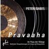 unbekannt - Pravaaha: Im Fluss der Klänge Meditative Klangstimmungen mit Gongs und Klangschalen - Preis vom 03.05.2024 04:54:52 h