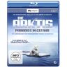 Sky Vision - Die Arktis - Paradies in Gefahr (SKY VISION) [Blu-ray] - Preis vom 28.04.2024 04:54:08 h