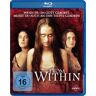 Phedon Papamichael - From Within [Blu-ray] - Preis vom 24.04.2024 05:05:17 h