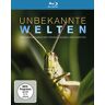 unbekannt - Unbekannte Welten - Der Mikrokosmos der Spinnen, Milben und Insekten [Blu-ray] - Preis vom 06.05.2024 04:58:55 h