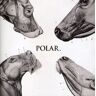 Polar - This Polar Noise - Preis vom 29.04.2024 04:59:55 h