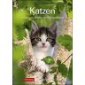 Harenberg - Katzen 2020 25x35,5cm - Preis vom 19.04.2024 05:01:45 h