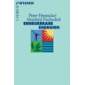 Peter Hennicke - Erneuerbare Energien: Mit Energieeffizienz zur Energiewende - Preis vom 27.04.2024 04:56:19 h