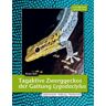 Beate Röll - Tagaktive Zwerggeckos der Gattung Lygodactylus - Preis vom 28.03.2024 06:04:05 h