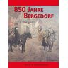 Kultur-und Geschichtskontor Bergedorf - 850 Jahre Bergedorf: Eine Stadtgeschichte - Preis vom 24.04.2024 05:05:17 h