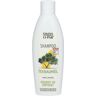 Swiss O-Par® Teebaumöl Kur-Shampoo Shampoo 250 ml Unisex 250 ml Shampoo